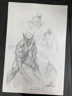 Frank Cho Original Art Prelim Sketch Wolverine Art On Both Sides