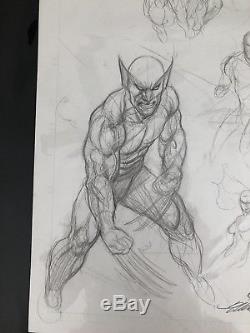 Frank Cho Original Art Prelim Sketch Wolverine Art On Both Sides