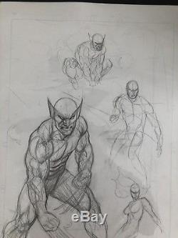 Frank Cho Original Art Prelim Sketch Wolverine Art On Both Sides