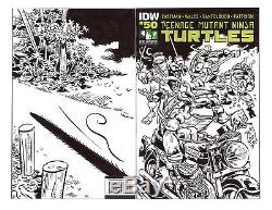 Hero Initiative Teenage Mutant Ninja Turtles 100 Project cover JIM LAWSON