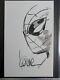 Kaare Andrews Original Art. Spider-man. Hand Drawn Sketch. Autographed