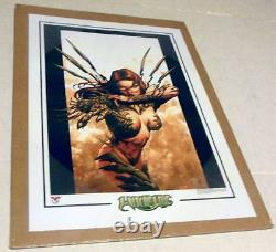 Litho 12 X 18 Top Cow Fine Art Lithograph J. G. Jones Witchblade Make Offer