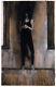 Mike Dringenberg Death Original Painted Proposal Image-comic Art Sandman Gaiman