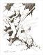 Mike Hoffman 11x17 Fantasy Art Commission Ink Drawing! You Choose The Scene