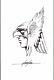 Mike Grell Signed Hawkman Original Art-11 X 17-dc Comics! Free Shipping