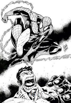 Original Art Pin-Up of Hulk Vs Spider-Man by Marcio Abreu (2023)