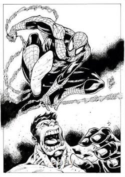 Original Art Pin-Up of Hulk Vs Spider-Man by Marcio Abreu (2023)