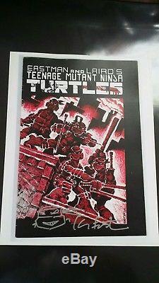 Original Kevin Eastman Art Teenage Mutant Ninja Turtles IDW Issue 31 cover art