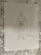 Original Pencil Sketch Aquaman Signed By Romana Fradon 12x9 (on Paper)