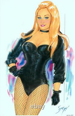 Playboy Artist Doug Sneyd Signed Original JLA DC Comic Art & Print BLACK CANARY