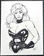 Signed Original M. C. Wyman Black Canary Inked Commission 11x14