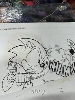 Sonic The Hedgehog #46 Original Comic Art Ink & Drawn Pages Signed Nelson Ortega