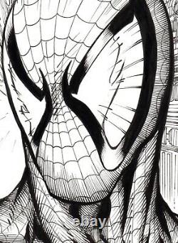 Spider-Man. Original, black & white, comic art, sketch, drawing by Calvin Henio