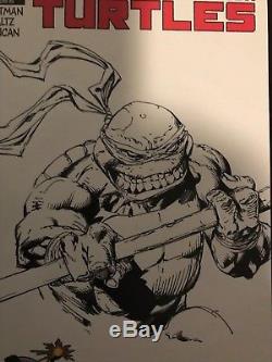 Teenage Mutant ninja Turtle Blank Sketch Variant-Original Art David FINCH