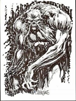 Tom Mandrake Signed Swamp Thing Original Art-vertigo! Free Shipping