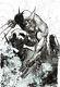 Wolverine Commission 2005 Signed Art By Ale Garza